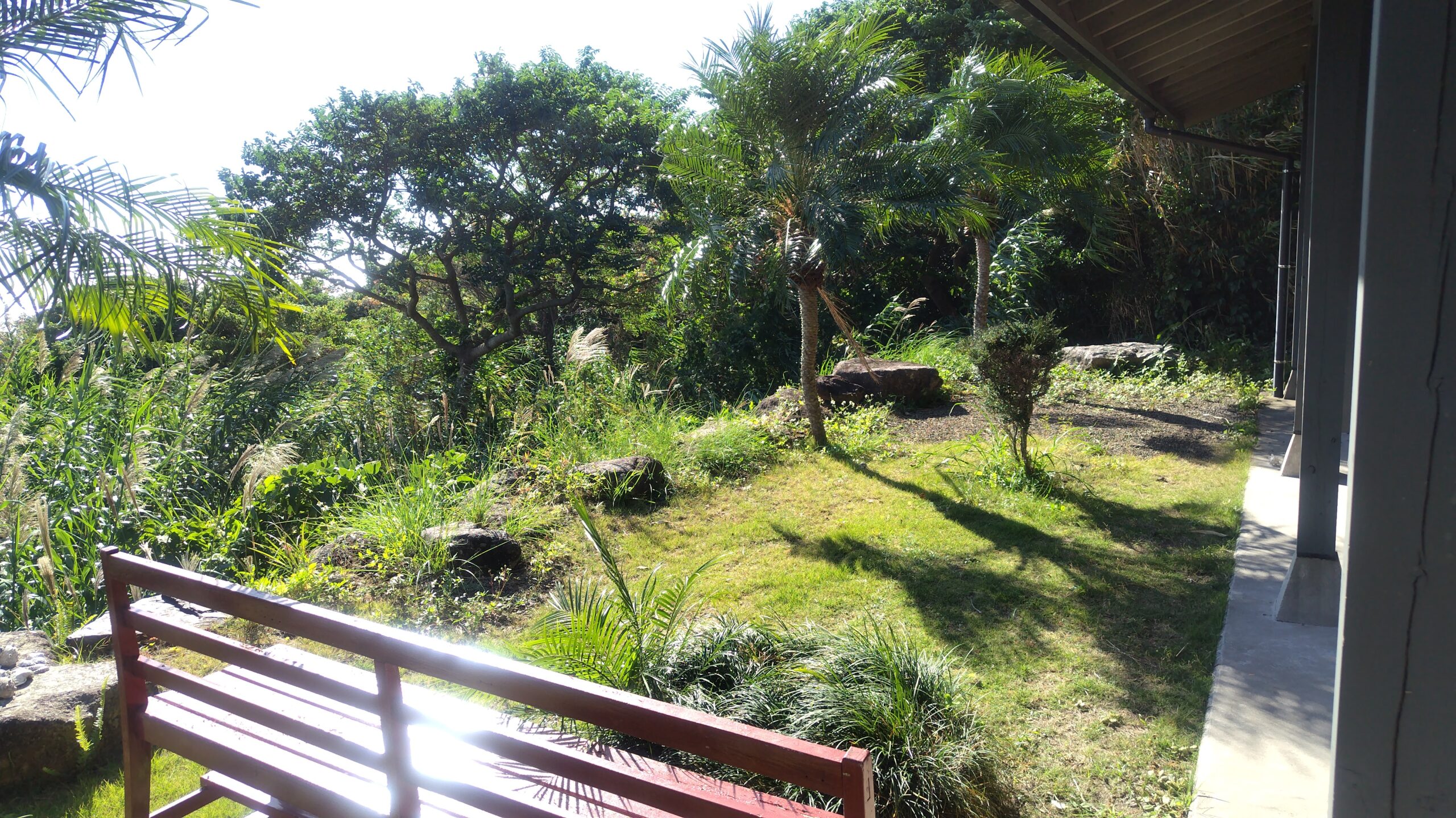 朝日が差し込むあゆみの森こども園職員寮の庭と木製ベンチ