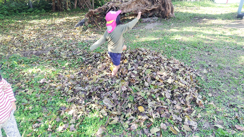 秋の落ち葉を集めた山で自然遊びを楽しむあゆみの森こども園の子どもたち