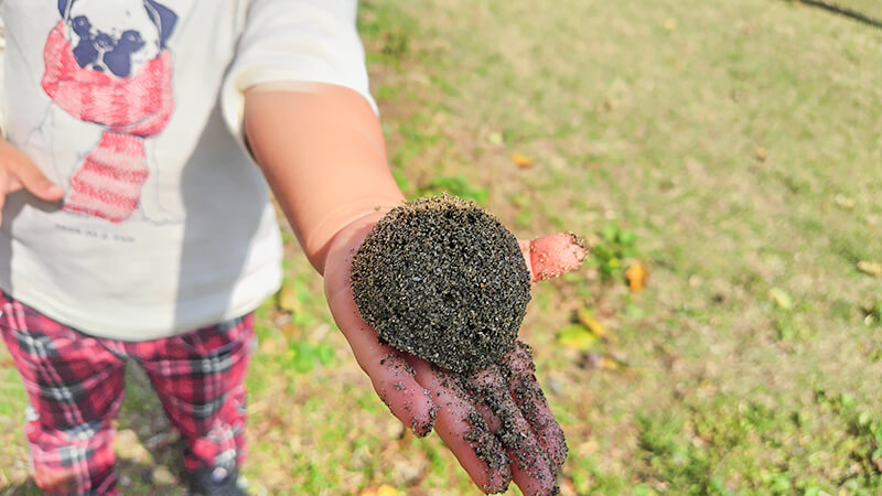 手のひらにマツボックリを乗せて自然を感じるこども園の園児