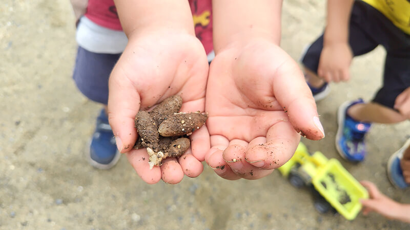 小さな手で土や砂を触って感触を楽しむあゆみの森こども園の園児