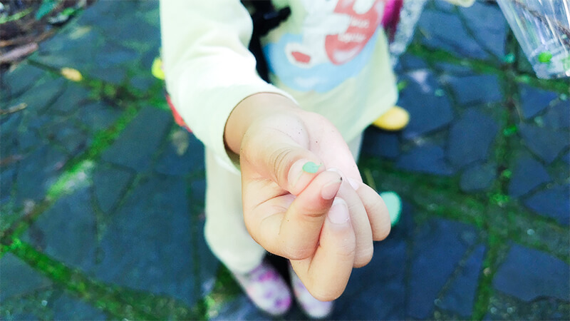 子どもの足元と自然物を持つ手のクローズアップ写真