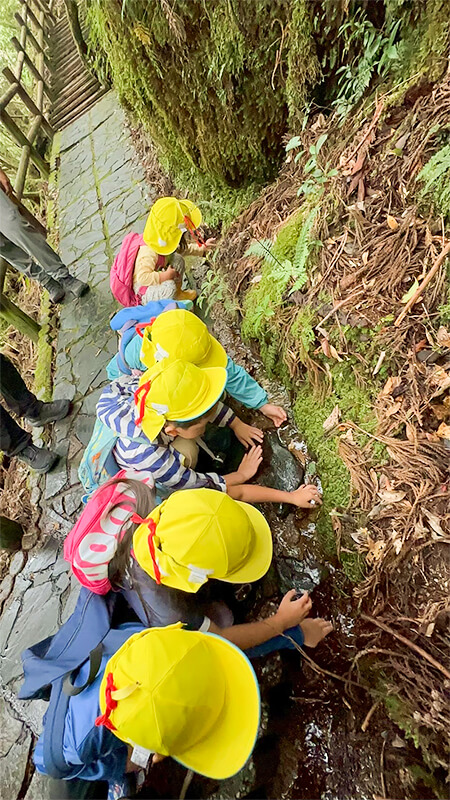 屋久島の森の中で探検を楽しむあゆみの森こども園の子どもたち