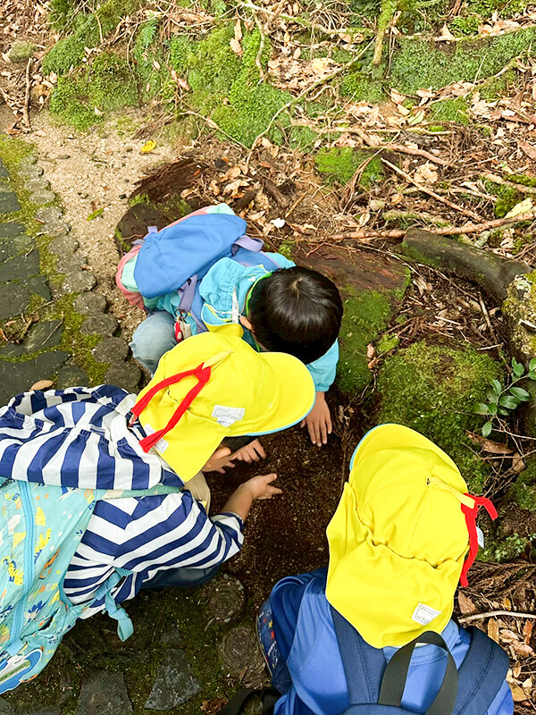 森の中で倒木を観察するこども園の園児たちの自然体験活動