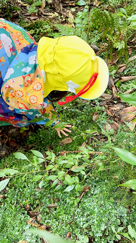 苔むした森の中で自然物に触れるあゆみの森こども園の子どもたち