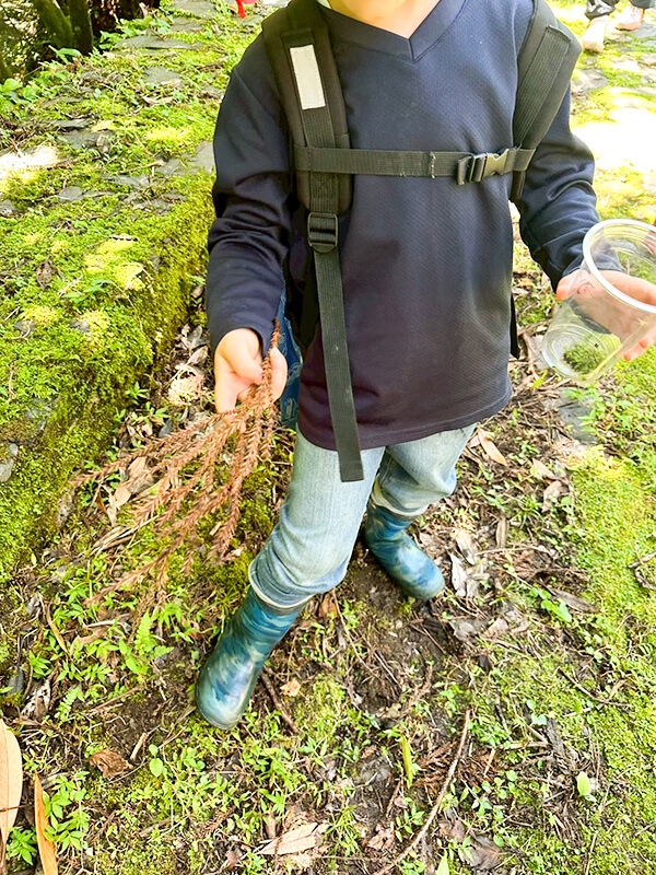 森の生き物や植物を観察するあゆみの森こども園の野外活動