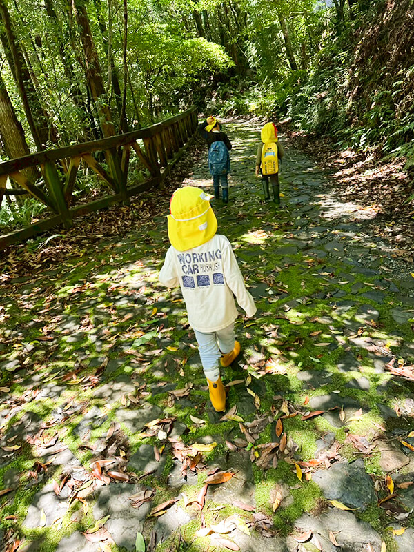 深い森の中で自然体験を楽しむこども園の子どもたち