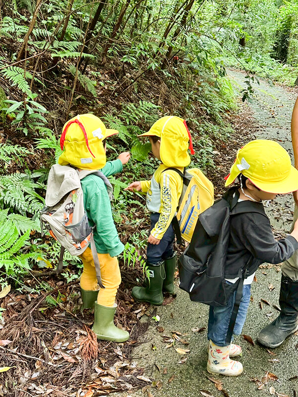 森の斜面で自然遊びを楽しむこども園の子どもたち