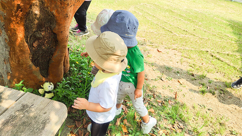 帽子をかぶって森の中を散策するこども園の子どもたちの後ろ姿