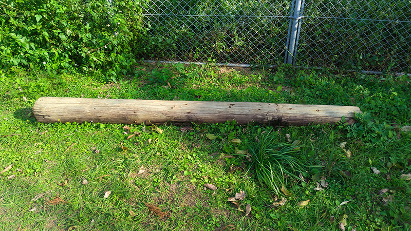 緑の芝生が広がるあゆみの森こども園の屋外遊び場